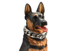 HKM-7260221 Durable Stainless Steel Pitbull Bulldog Collar with Strong Clasp - Multiple Sizes Available