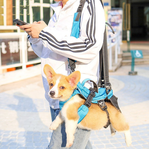 HKM-7263293 Multifunctional Blue and Grey Pet Backpack - Soft, Breathable, Reflective Design