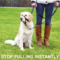 HKM-7263805 Adjustable Nylon Anti-Bite Pet Muzzle and Traction Training Belt for Dogs