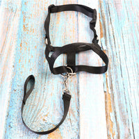 HKM-7263805 Adjustable Nylon Anti-Bite Pet Muzzle and Traction Training Belt for Dogs