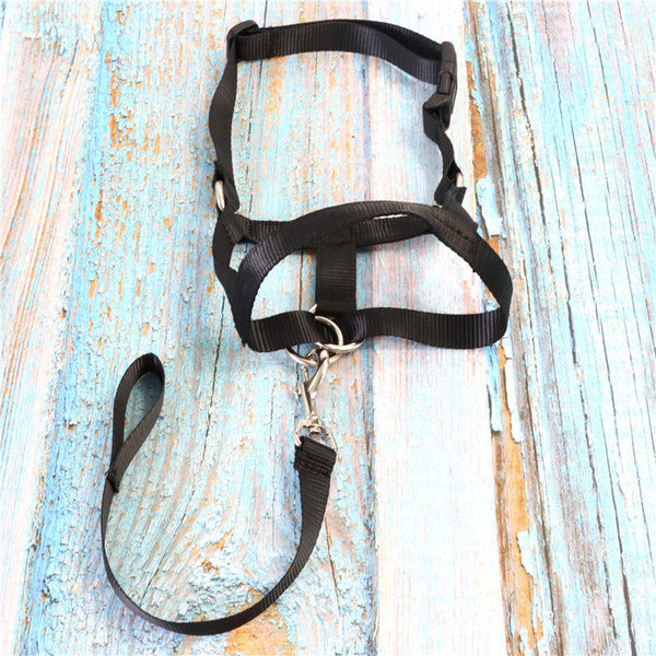 HKM-7263805 Adjustable Nylon Anti-Bite Pet Muzzle and Traction Training Belt for Dogs