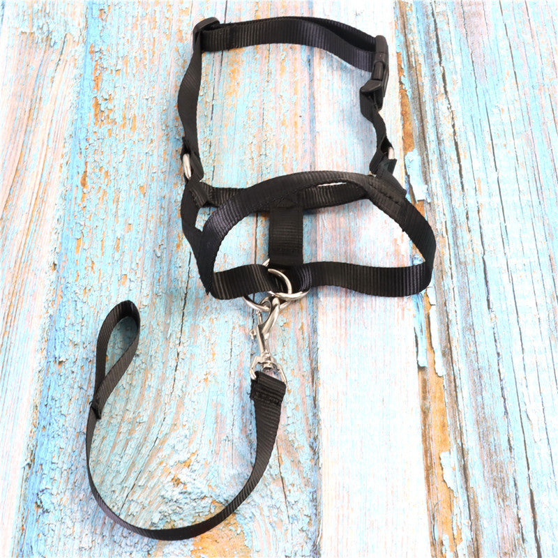 HKM-7263805 Adjustable Nylon Anti-Bite Pet Muzzle and Traction Training Belt for Dogs