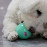 HKM-7266237 Cute Egg-Shaped Latex Toy for Small to Medium Dogs, Fun Sound Feature