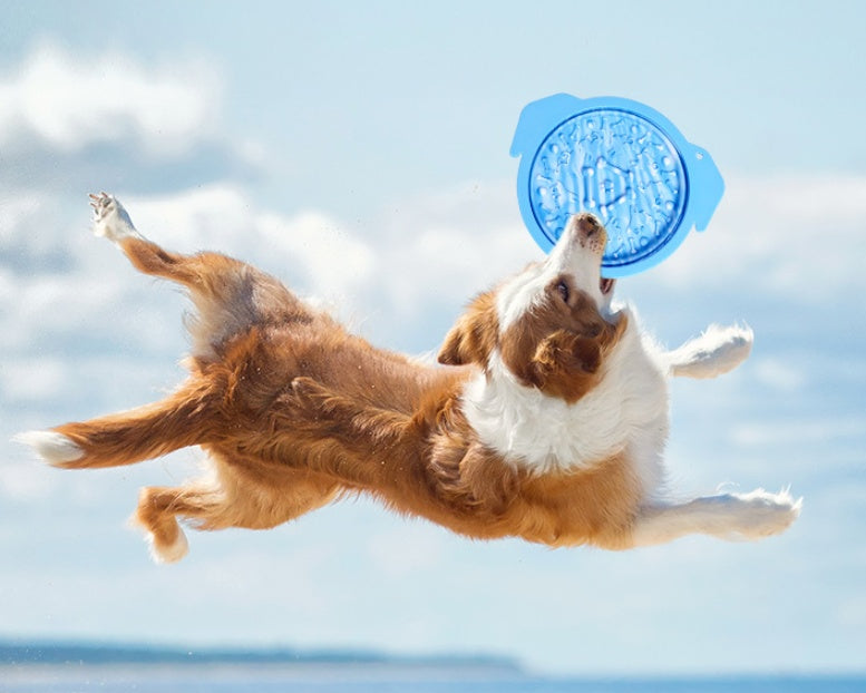HKM-7267773 Multi-functional Silicone Suction Cup Lick Pad and Slow Feeder Bowl