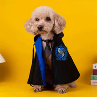 HKM-7268541 Magical Pet Cloak and Accessories Set for Cats and Dogs in Various Colors