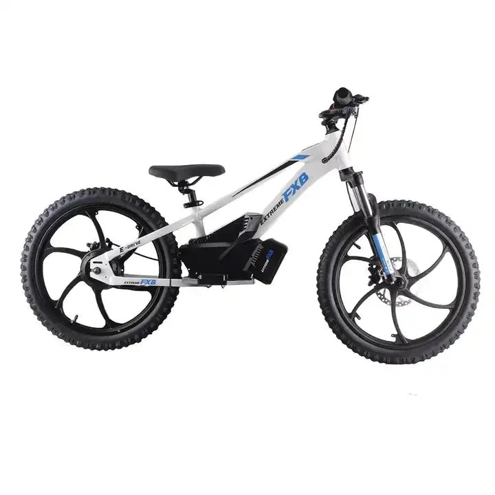 HKM-726867 Electric Kids Balance Bike 20 Inch with 36V 400W Brushless Motor and Hydraulic Disc Brakes