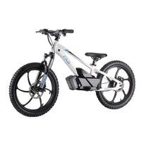 HKM-726867 Electric Kids Balance Bike 20 Inch with 36V 400W Brushless Motor and Hydraulic Disc Brakes