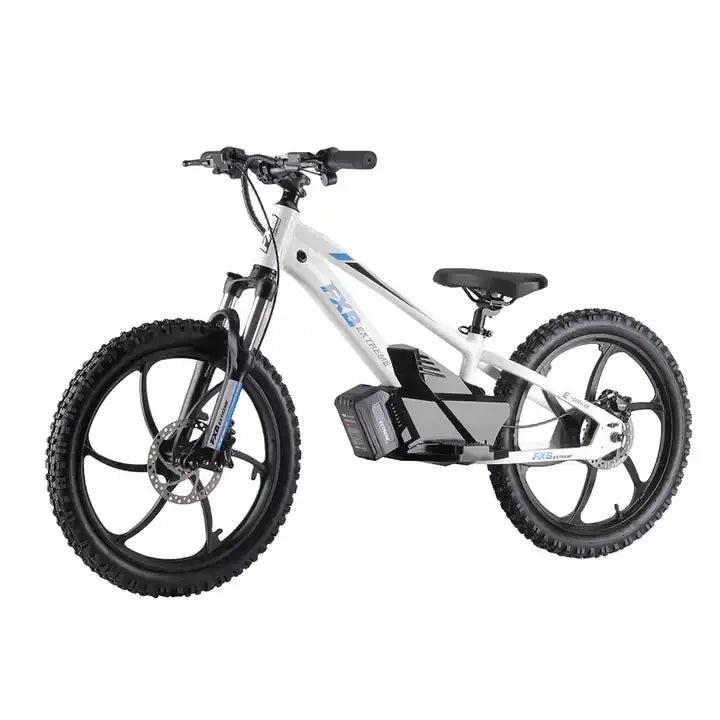 HKM-726867 Electric Kids Balance Bike 20 Inch with 36V 400W Brushless Motor and Hydraulic Disc Brakes