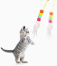 HKM-7271229 Interactive Hanging Cat Toy with Adjustable Elastic Rope for Indoor Cats, Durable and Safe Plush Design