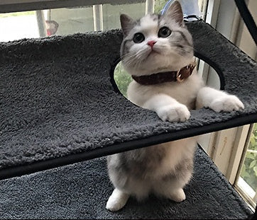 HKM-7271357 Removable and Washable Cat Hammock with Super Suction Cups for Window Sills
