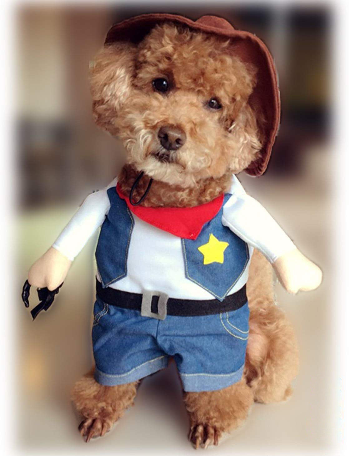 HKM-7273917 Denim Cowboy Costume for Pets - Stylish Dog and Cat Role Play Outfit