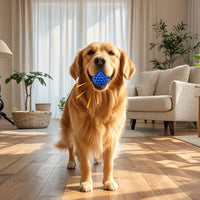 HKM-7278141 Durable Squeaky Balls for Large Dogs - Indestructible Interactive Toy for Aggressive Chewers