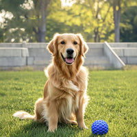 HKM-7278141 Durable Squeaky Balls for Large Dogs - Indestructible Interactive Toy for Aggressive Chewers