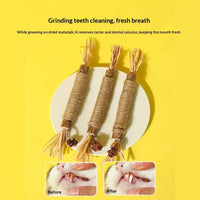 HKM-7283901 Catnip Teething Sticks for Cats - Set of 3 Sisal Pet Toys in Various Sizes