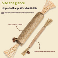 HKM-7283901 Catnip Teething Sticks for Cats - Set of 3 Sisal Pet Toys in Various Sizes