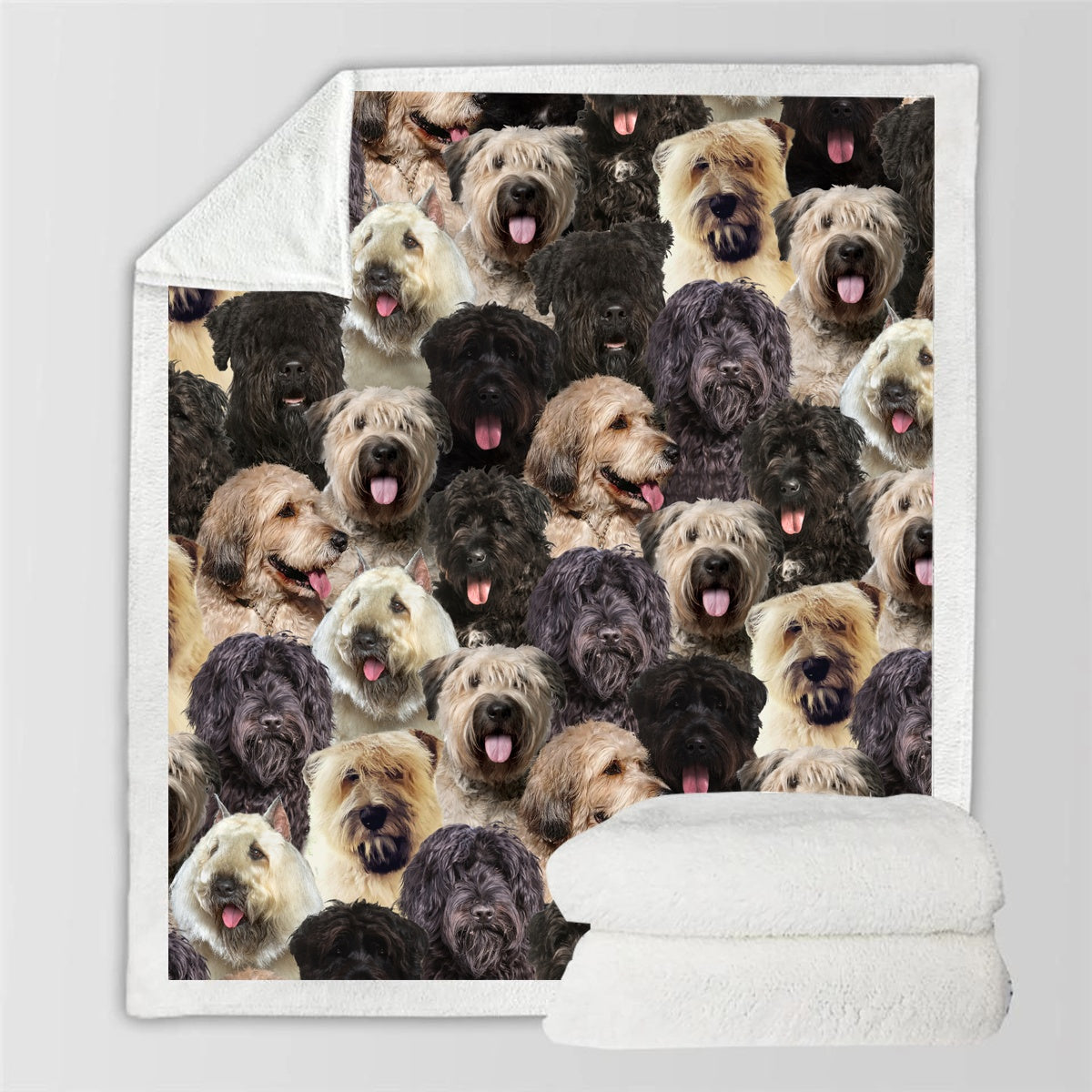 HKM-728595 Modern Printed Flannel Blanket for Pets - Available in Two Sizes