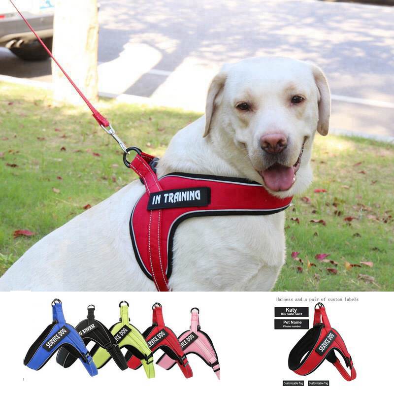 HKM-7287101 Breathable Reflective Dog Harness Vest with Adjustable Metal Buckle and Personalized Fit