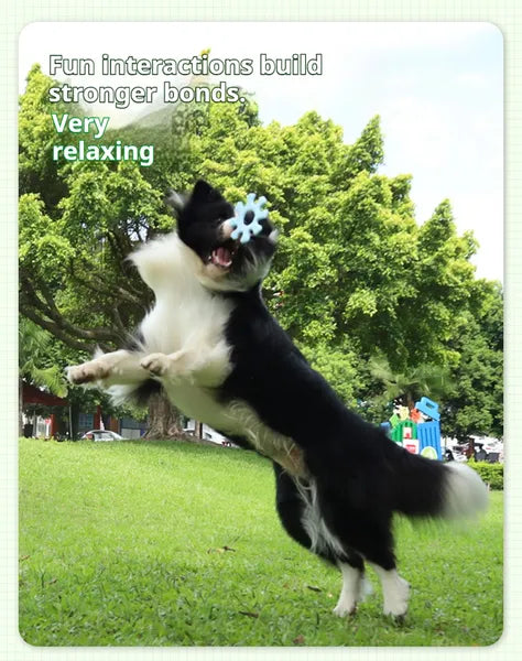 HKM-7290685 Interactive Flywheel Dog Frisbee Toy for Engaging Playtime and Stronger Bonds