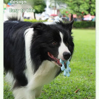 HKM-7290685 Interactive Flywheel Dog Frisbee Toy for Engaging Playtime and Stronger Bonds