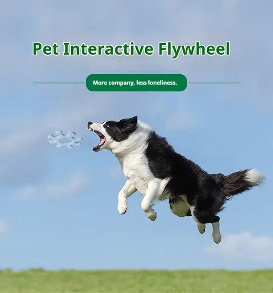 HKM-7290685 Interactive Flywheel Dog Frisbee Toy for Engaging Playtime and Stronger Bonds