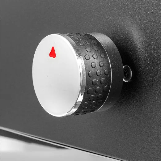 HKM-729107 Versatile Outdoor Gas Pizza Grill Oven - Rust-Resistant and Weatherproof Cooking Solution