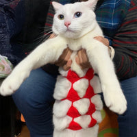 HKM-7294269 Funny Cat Cosplay Bikini Outfit for Spring/Summer Festivals and Halloween Pet Parties