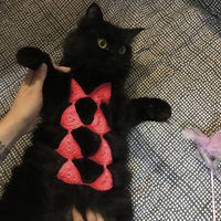 HKM-7294269 Funny Cat Cosplay Bikini Outfit for Spring/Summer Festivals and Halloween Pet Parties