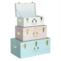 HKM-729491 Metal-Accented Storage Trunk Box for Organised Home Storage Solutions
