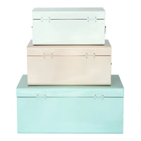HKM-729491 Metal-Accented Storage Trunk Box for Organised Home Storage Solutions