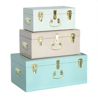 HKM-729491 Metal-Accented Storage Trunk Box for Organised Home Storage Solutions