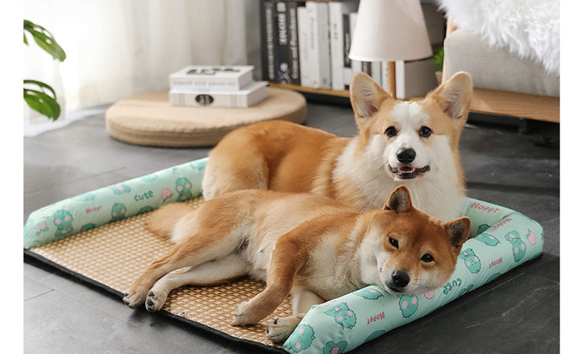 HKM-7295037 Summer Pet Nest and Cooling Mat - Double-Sided Lemon & Dinosaur Designs, Available in S, M, L