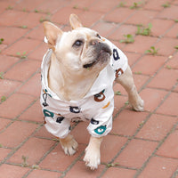 HKM-7295165 Waterproof Two-Legged Raincoat for Puppies - Casual Bear Suit, Multiple Sizes Available