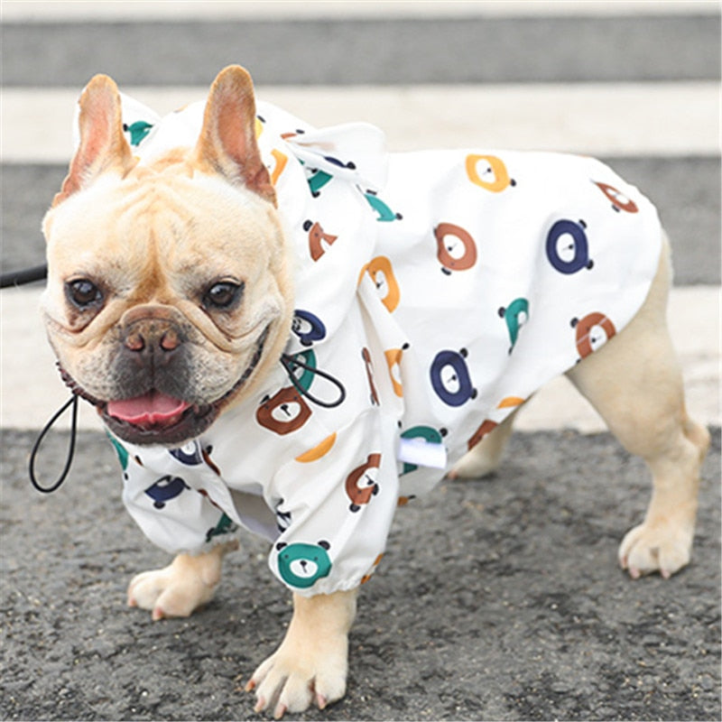 HKM-7295165 Waterproof Two-Legged Raincoat for Puppies - Casual Bear Suit, Multiple Sizes Available