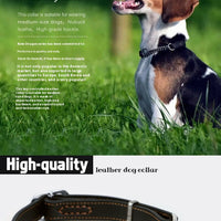 HKM-7298749 Cowhide Semi-Controlled P Chain Collar for Small Dogs - Black and Brown Options