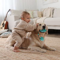 HKM-7300029 Suction Cup Dog Toy Ball for Molar Teeth Cleaning and Playtime