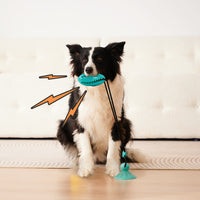 HKM-7300029 Suction Cup Dog Toy Ball for Molar Teeth Cleaning and Playtime