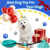 HKM-7300029 Suction Cup Dog Toy Ball for Molar Teeth Cleaning and Playtime