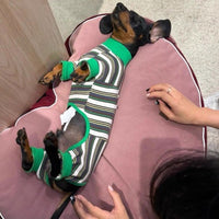 HKM-7302333 Striped Warm Vest for Dogs - Cozy Autumn and Winter Pet Clothing