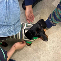 HKM-7302333 Striped Warm Vest for Dogs - Cozy Autumn and Winter Pet Clothing
