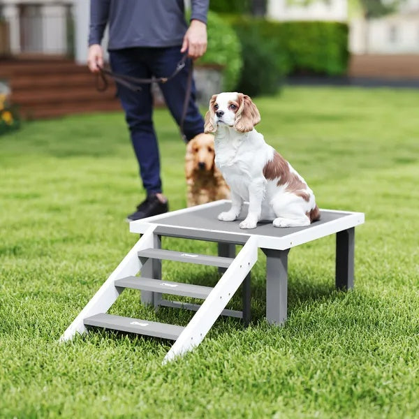 HKM-730259 Wooden Dog Training Place Board with Ladder for Indoor and Outdoor Agility Training