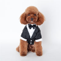 HKM-7308861 Cozy Cotton Pet Suit for Golden Retrievers - Stylish Fall/Winter Outfit