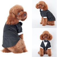 HKM-7308861 Cozy Cotton Pet Suit for Golden Retrievers - Stylish Fall/Winter Outfit