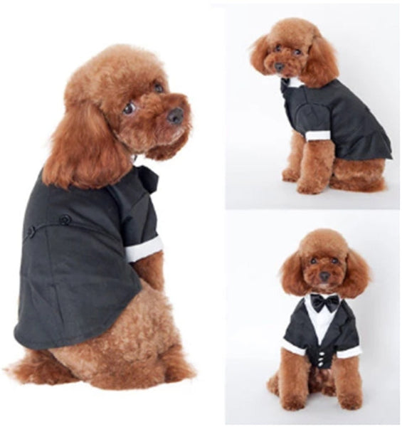 HKM-7308861 Cozy Cotton Pet Suit for Golden Retrievers - Stylish Fall/Winter Outfit