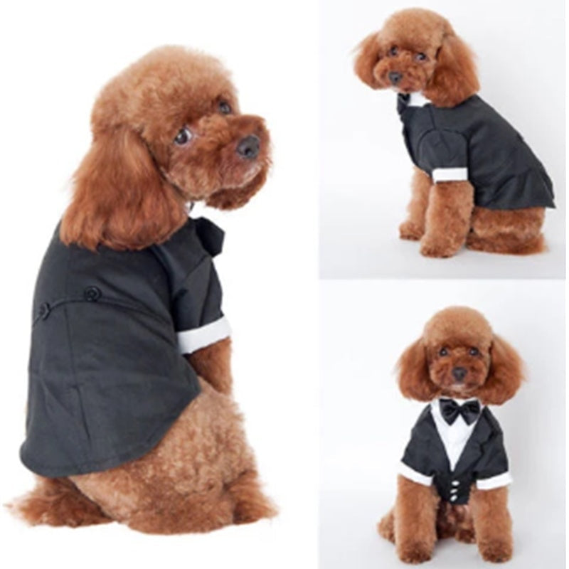 HKM-7308861 Cozy Cotton Pet Suit for Golden Retrievers - Stylish Fall/Winter Outfit