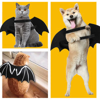 HKM-7312445 Luminous Black Felt Bat Wings Dog Costume in Sizes S, M, L