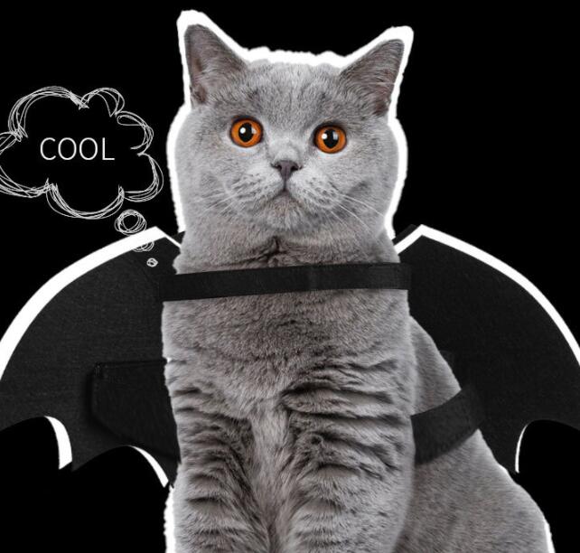HKM-7312445 Luminous Black Felt Bat Wings Dog Costume in Sizes S, M, L