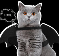 HKM-7312445 Luminous Black Felt Bat Wings Dog Costume in Sizes S, M, L