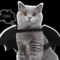 HKM-7312445 Luminous Black Felt Bat Wings Dog Costume in Sizes S, M, L