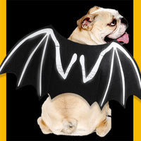 HKM-7312445 Luminous Black Felt Bat Wings Dog Costume in Sizes S, M, L