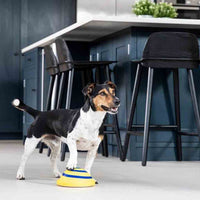 HKM-7313085 Interactive Sounding Disc Toy for Indoor Dogs - Safe, Soft, and Engaging Play Solution